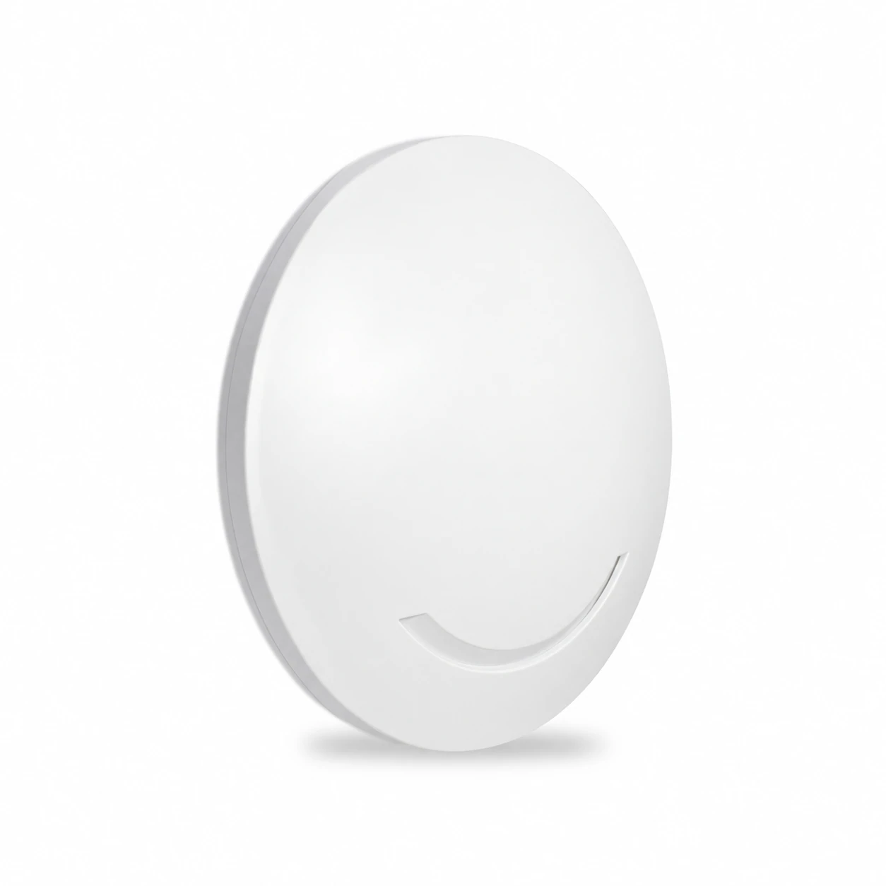 Ceiling-mount wireless access point
